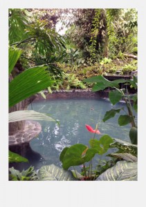 Arenal Hot Springs